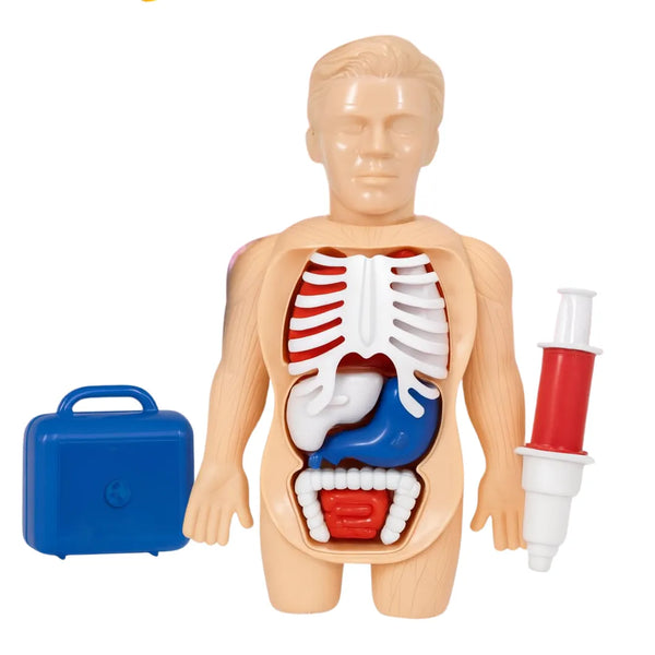 Set Doctor Cosplay con Cuerpo Anatómico Educativo